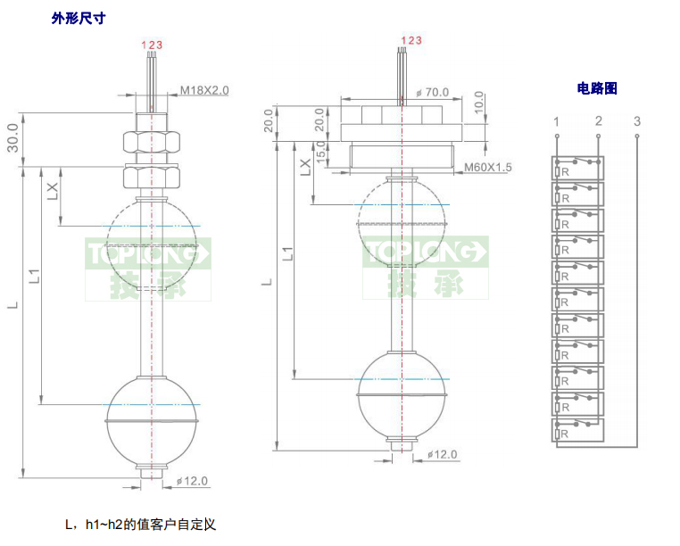 2260型直桿式液位計（開關(guān)）